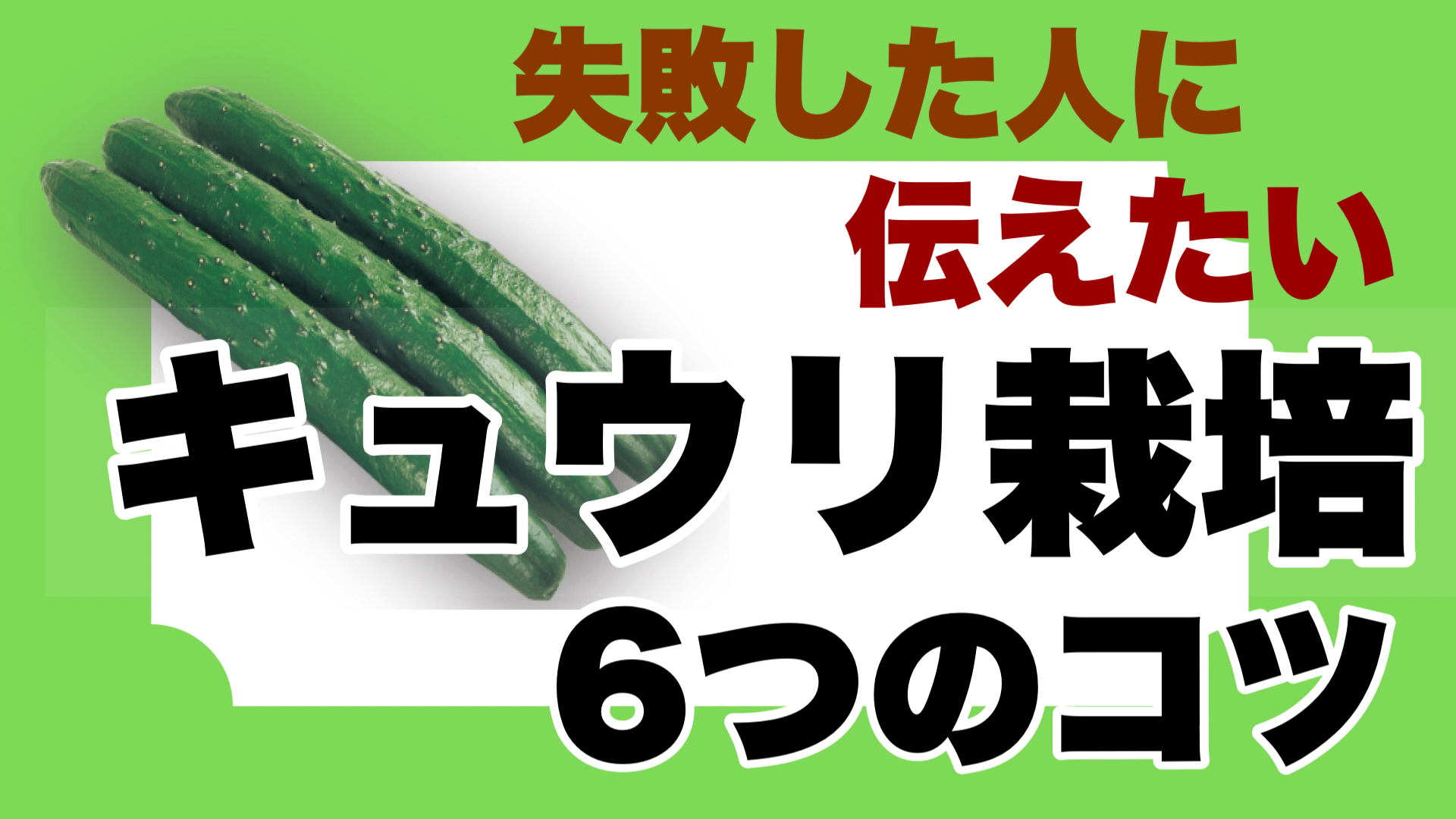 キュウリ栽培で失敗した人に伝えたい栽培方法６つのコツ ときめきガレージ